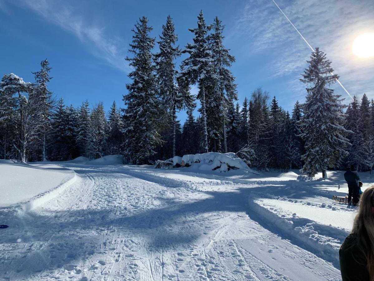 Haus Am Sonnenberg,Todtnauberg, Ferienwohnung 002, Direkt Am Skilift-Skipiste, Naehe Feldberg Exterior photo